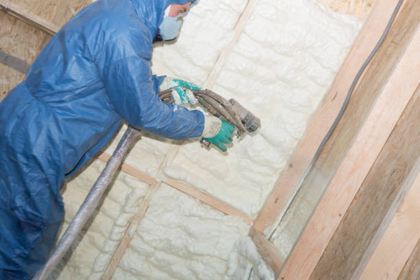 Best Soundproof Insulation  in North Prairie, WI